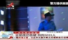 广东海哥爆料最新消息视频,视频揭秘事件真相